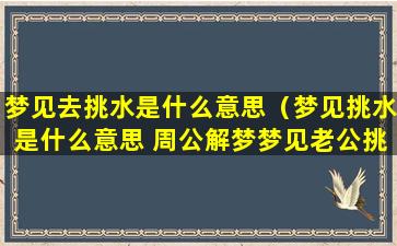 梦见去挑水是什么意思（梦见挑水是什么意思 周公解梦梦见老公挑水）